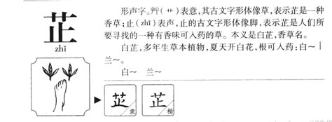 芷芸意思|芷芸这两字的含义，芷芸这个名字的含义解析